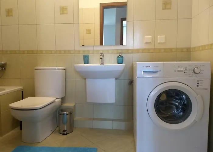 Apartament Lastadia Nad Stara Motlawa Apartament *